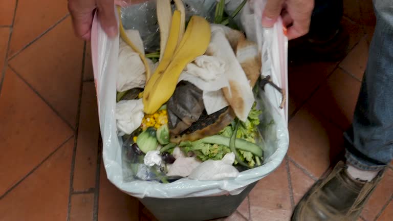 Port Norris, NJ Junk Removal Services Company